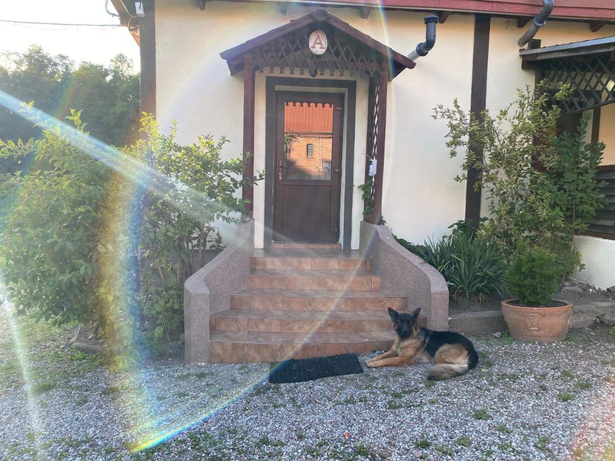 Mlyn Wodny Eko Hillar Villa Rybno  Luaran gambar