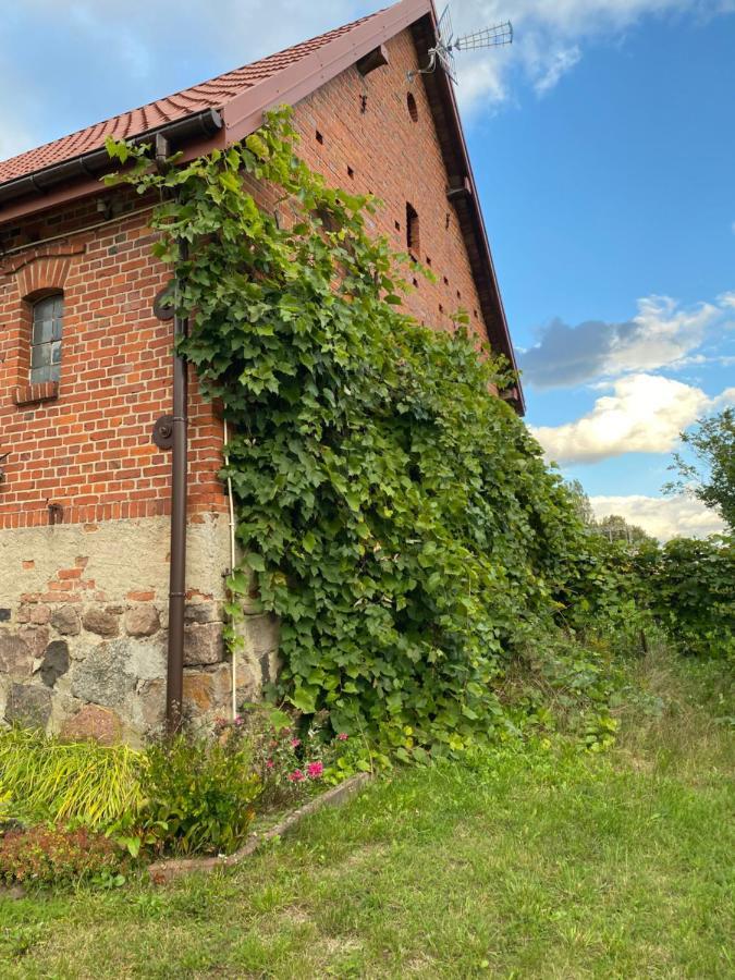 Mlyn Wodny Eko Hillar Villa Rybno  Luaran gambar